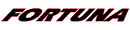 Fortuna Tyres / Car / Fortuna EcoPlus HP logo